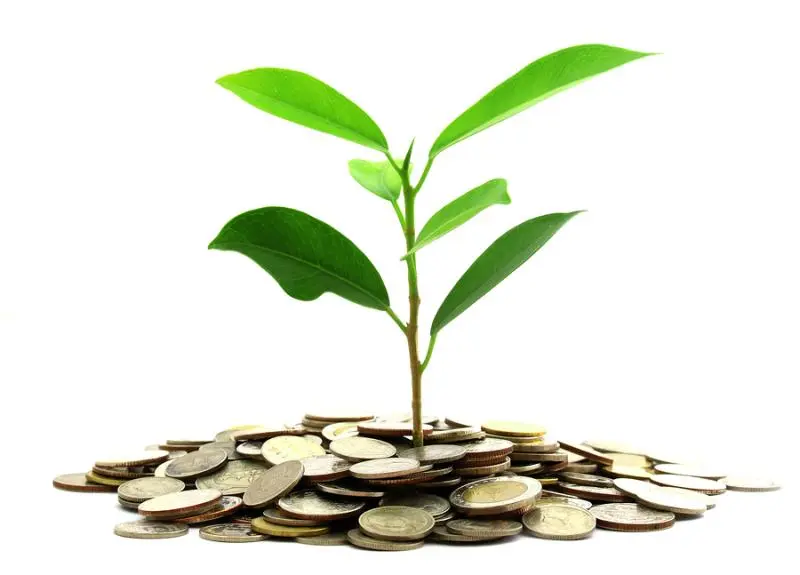 Инвестиции SKF в сохранение экологии | Свежие новости в Балашихе