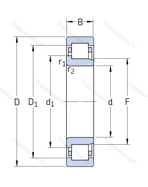 Роликовый цилиндрический подшипник NJ 305 ECP от производителя  SKF