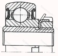 Модификация подшипника 1680204АС17 размер 20x52x16/29 от производителя  ГПЗ-8